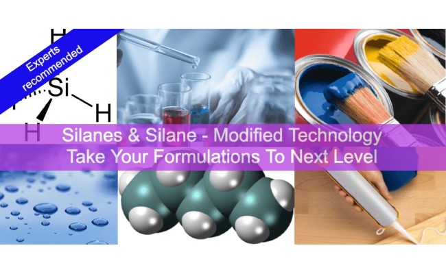 Hybrid Polymers (Silanes and Silane-Modified Technology) Training: Get Improved Existing And New Formulations