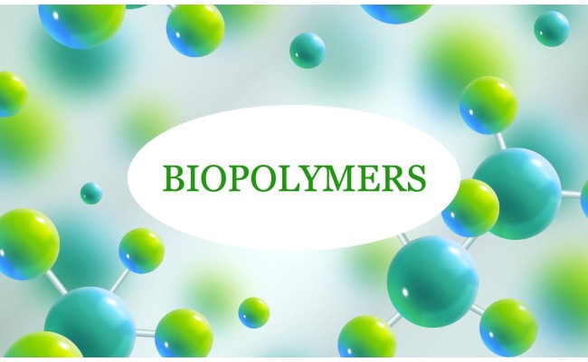 Biopolymers for Industrial Applications: Formulation Techniques, Processing and Innovations