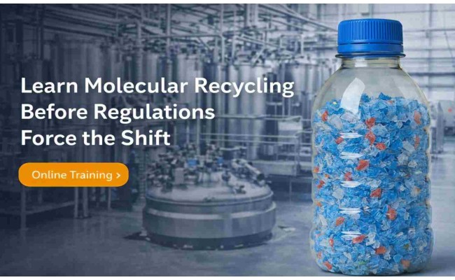 Molecular Recycling of Plastics: Advanced Process Strategies for Profitable Chemical Recovery