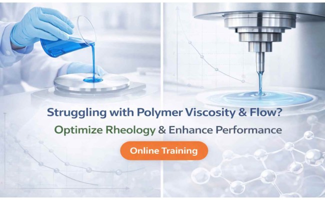 Polymer Rheology Training: Advanced Flow Control for Processing Stability